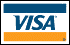 Visa Logo